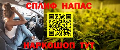 хмурый Новозыбков