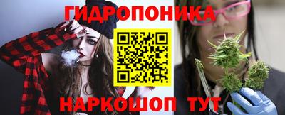 хмурый Новозыбков