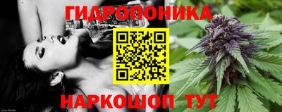 хмурый Новозыбков