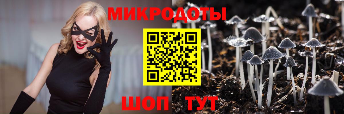 Галлюциногенные грибы Cubensis Ревда